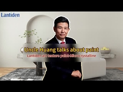 Lantiden Texture Wall Paint-Microcrystalline stone 
