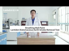 Lantiden Diatom Paint: Smoke Removal Test in 60 Seconds!