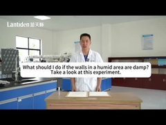 Lantiden Diatom Paint vs. Moisture: The Ultimate Humidity Test