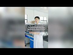 Lantiden CEO show you around paint factory 