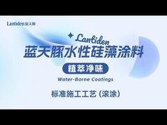 Lantiden paint construction process