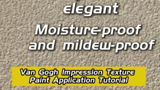 Snowflake Texture, Artistic Soul: The Van Gogh Impression.